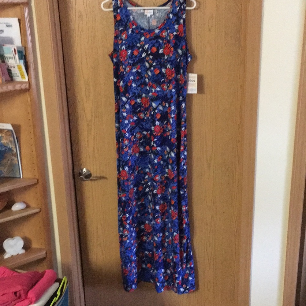 NWT LuLaRoe Dani Dress